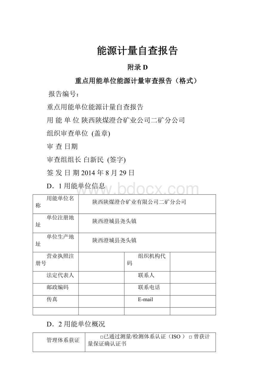 能源计量自查报告Word文档格式.docx