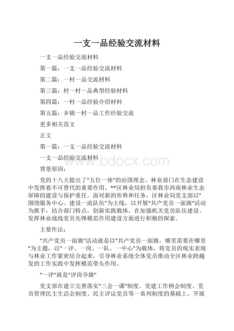 一支一品经验交流材料Word下载.docx