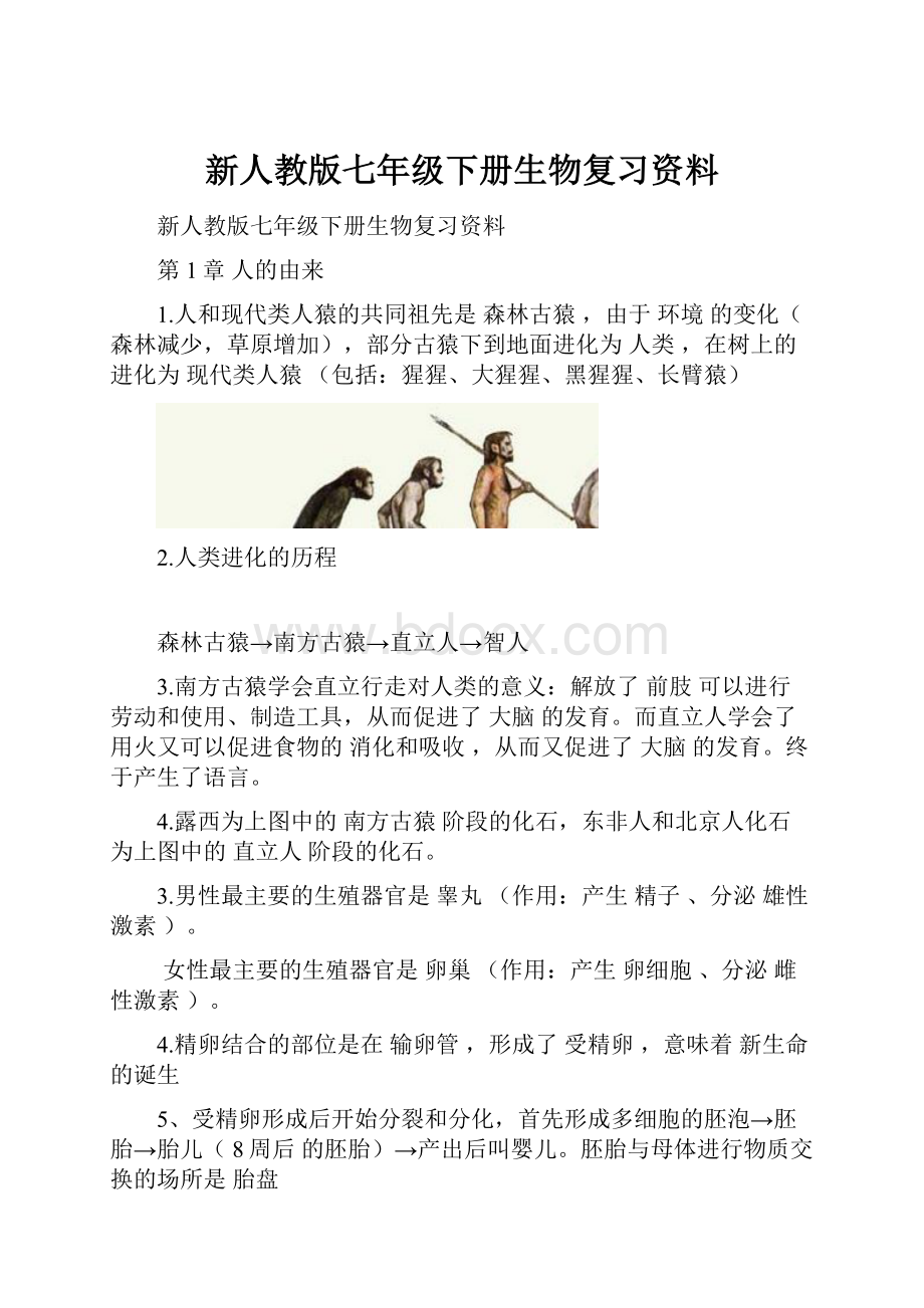 新人教版七年级下册生物复习资料Word格式文档下载.docx_第1页