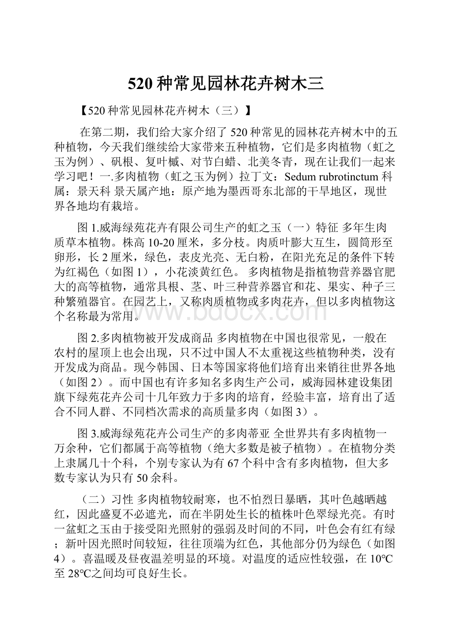 520种常见园林花卉树木三Word文档下载推荐.docx_第1页