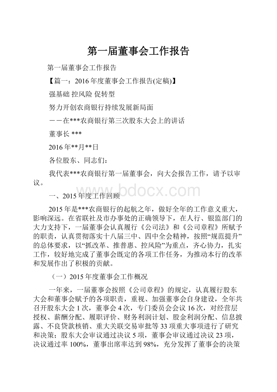 第一届董事会工作报告Word文件下载.docx