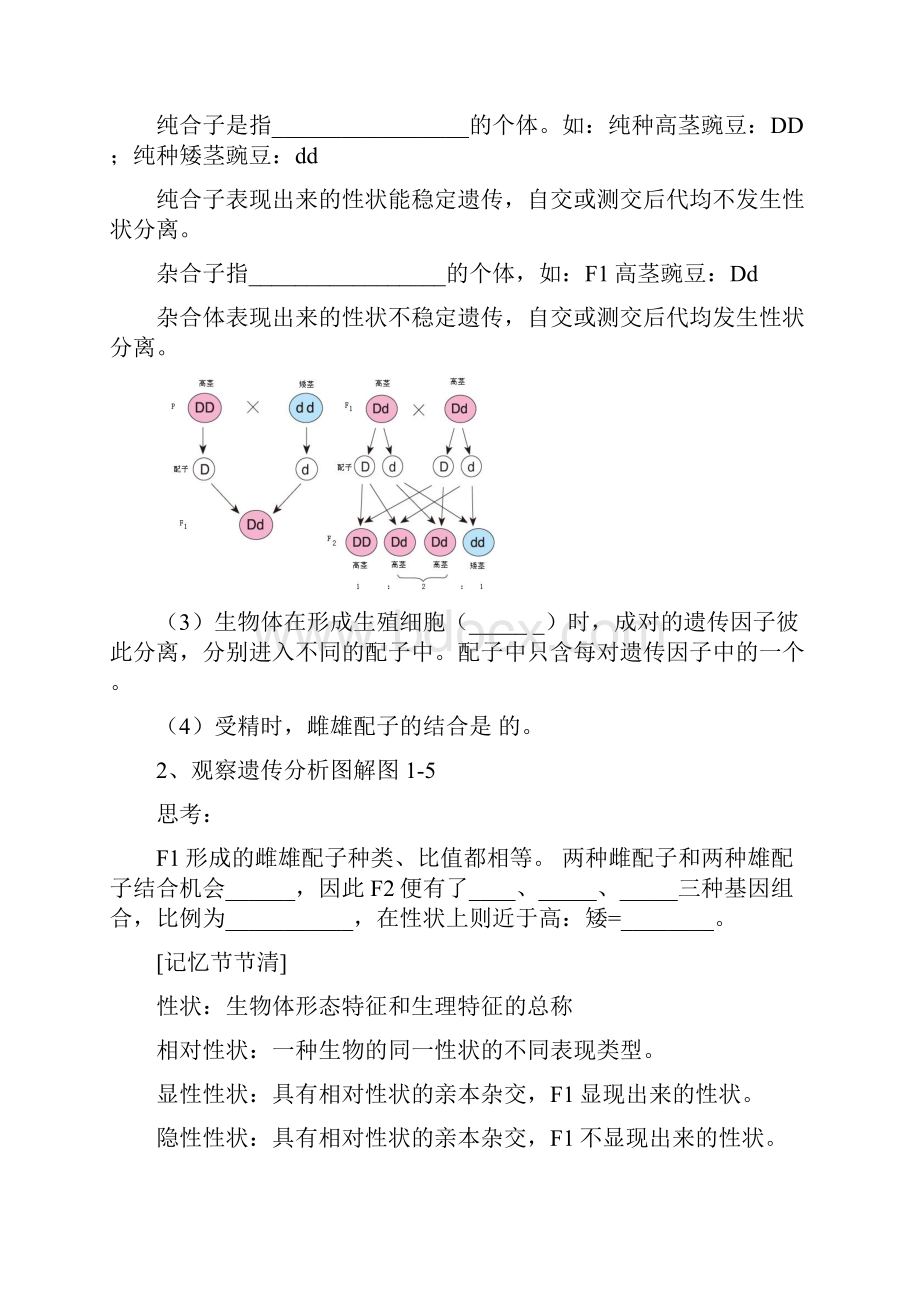 新课改《遗传学》好的学案.docx_第3页