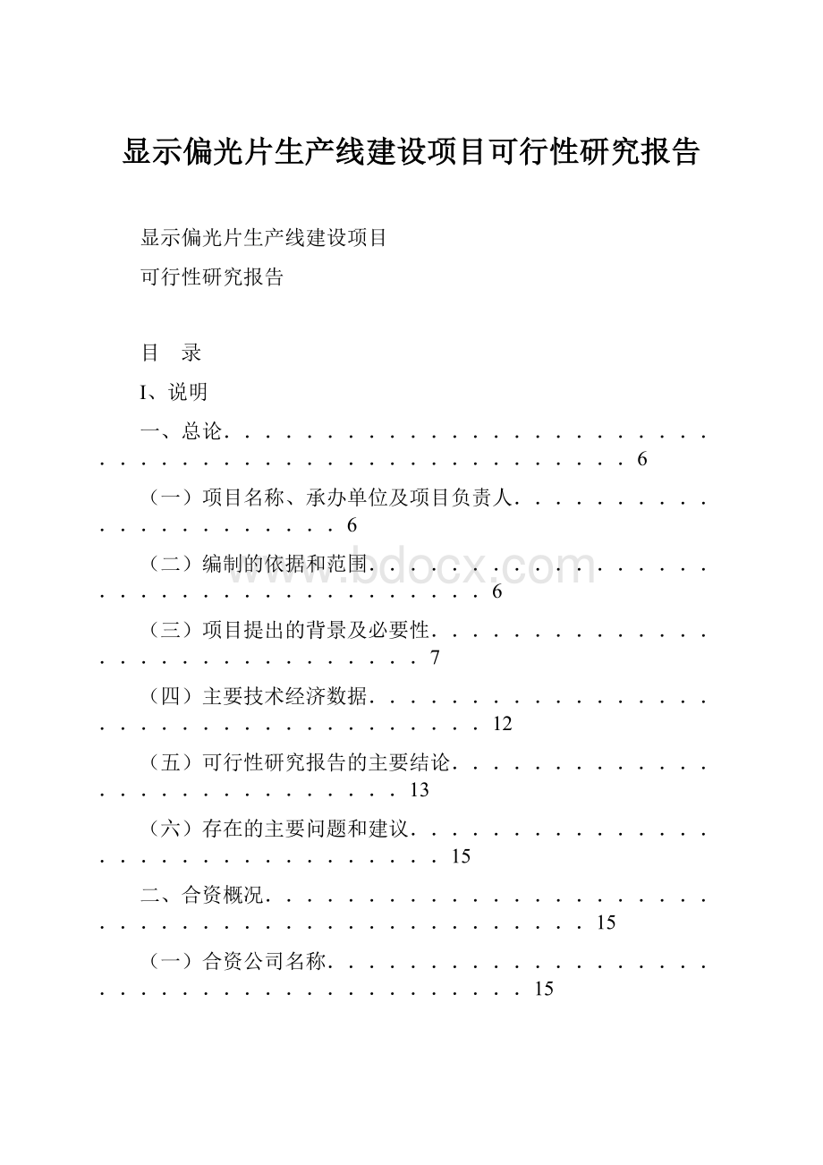 显示偏光片生产线建设项目可行性研究报告Word下载.docx