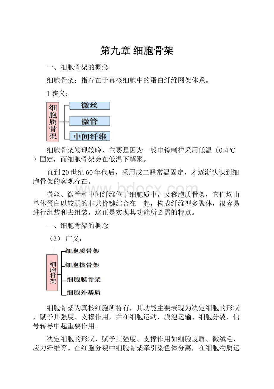 第九章 细胞骨架.docx_第1页