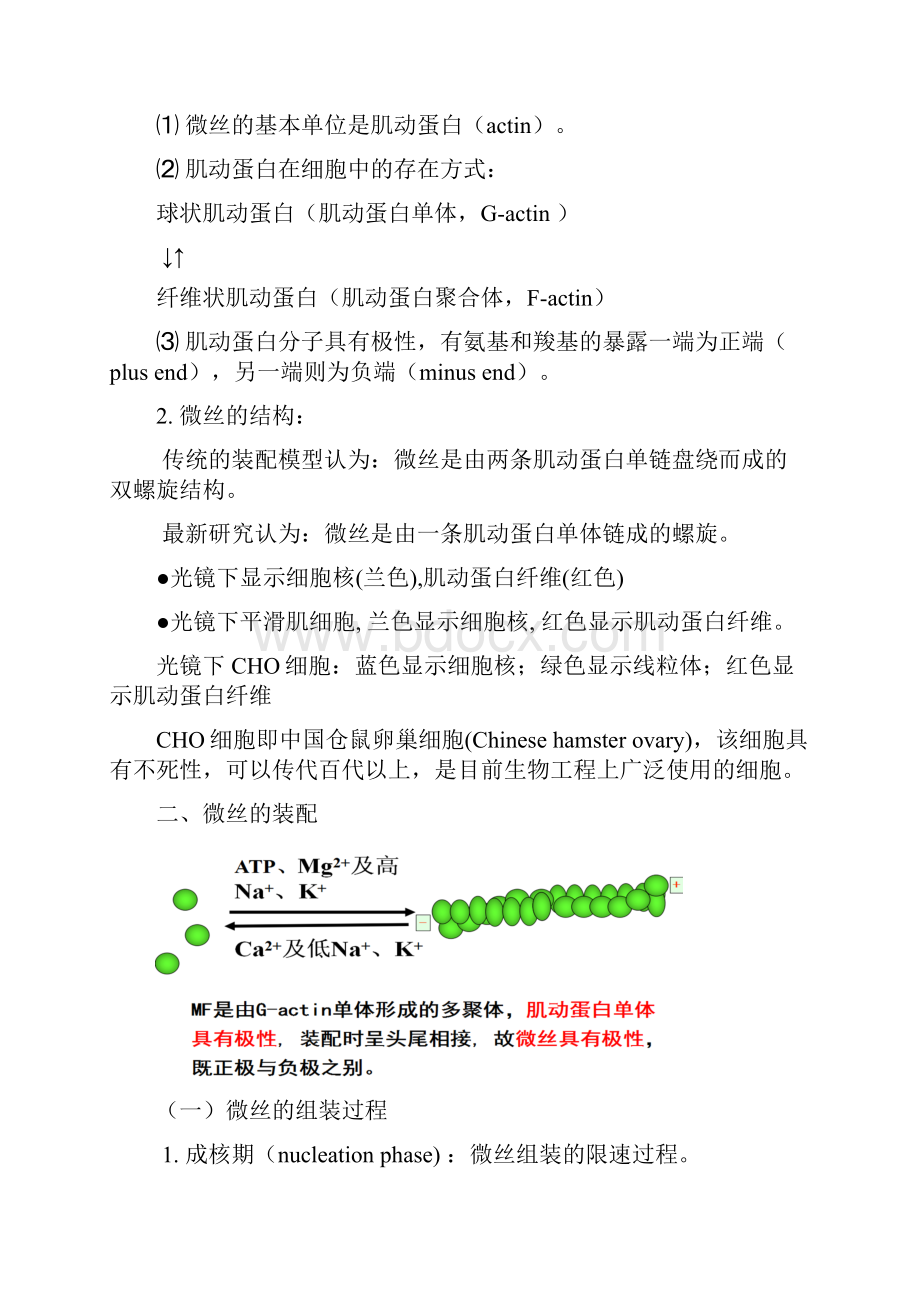 第九章 细胞骨架.docx_第3页