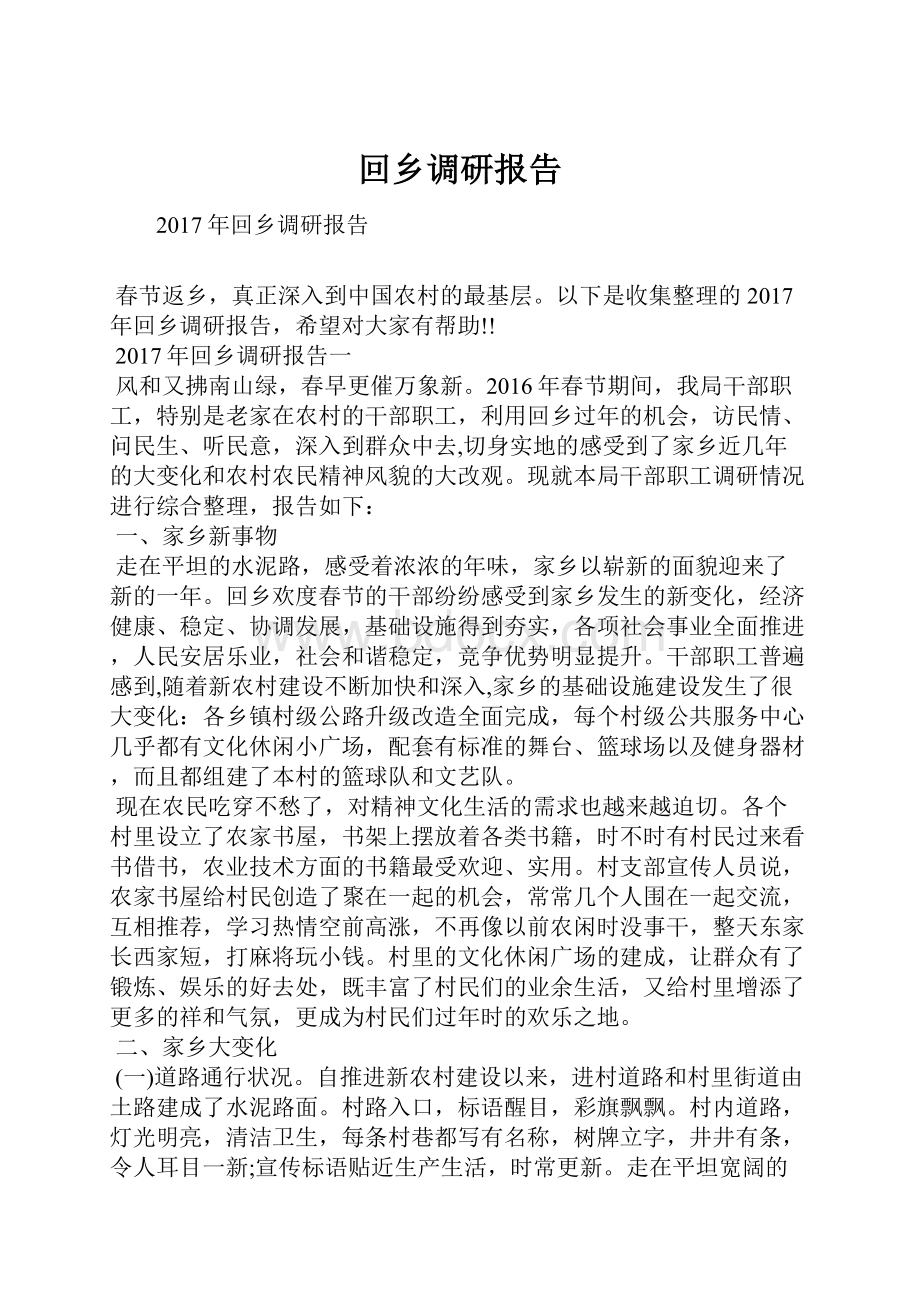 回乡调研报告文档格式.docx