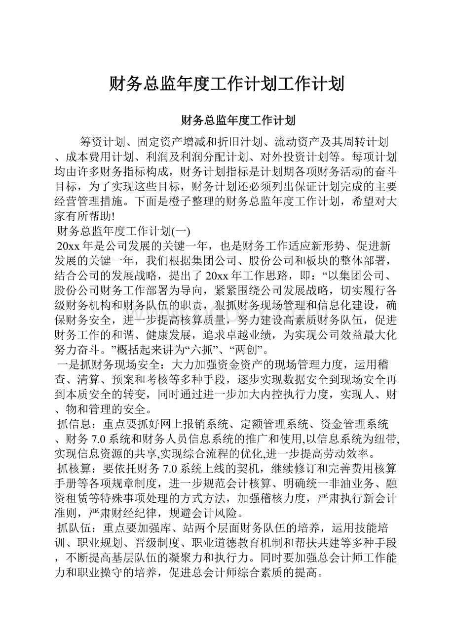 财务总监年度工作计划工作计划文档格式.docx