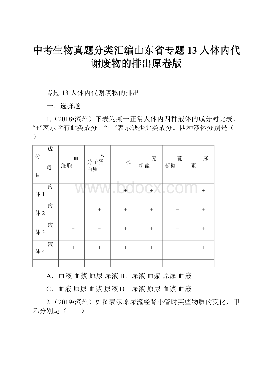 中考生物真题分类汇编山东省专题13 人体内代谢废物的排出原卷版文档格式.docx