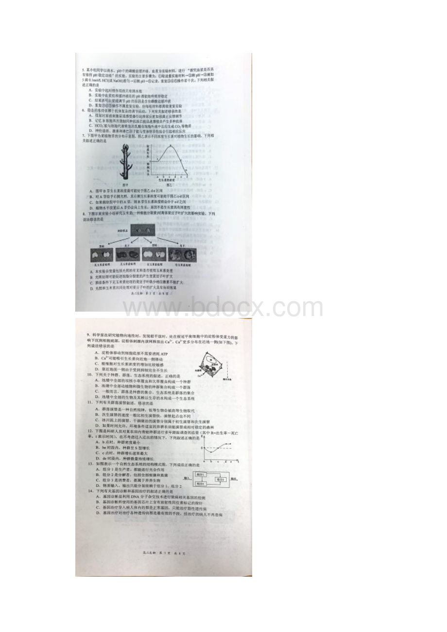 江苏省泰州市学年高二上学期期末考试生物选修试题扫描版Word下载.docx_第2页