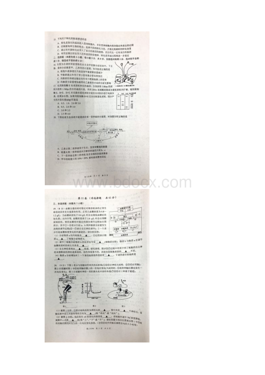 江苏省泰州市学年高二上学期期末考试生物选修试题扫描版Word下载.docx_第3页