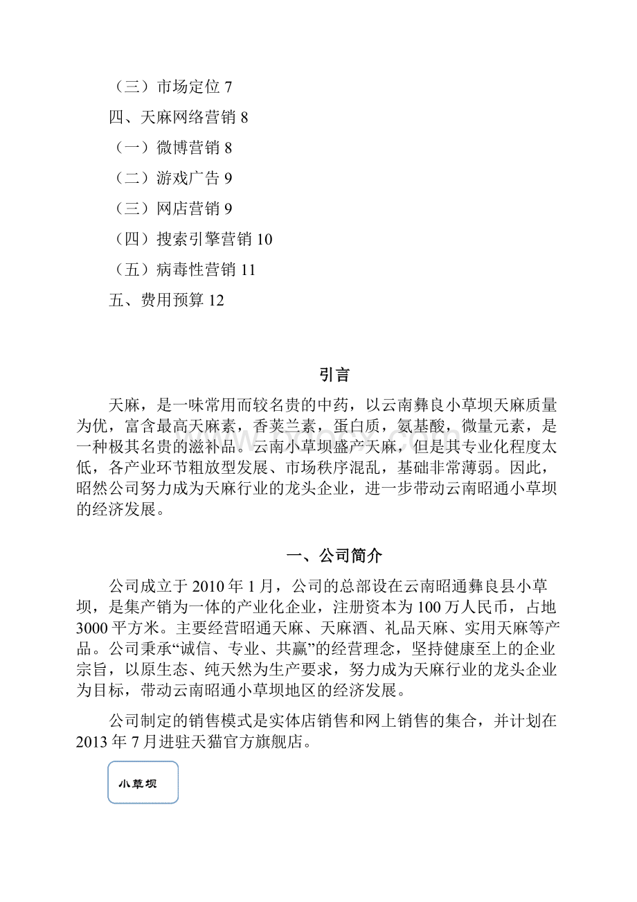 名贵中药天麻网络营销规划商业策划书Word文档下载推荐.docx_第2页