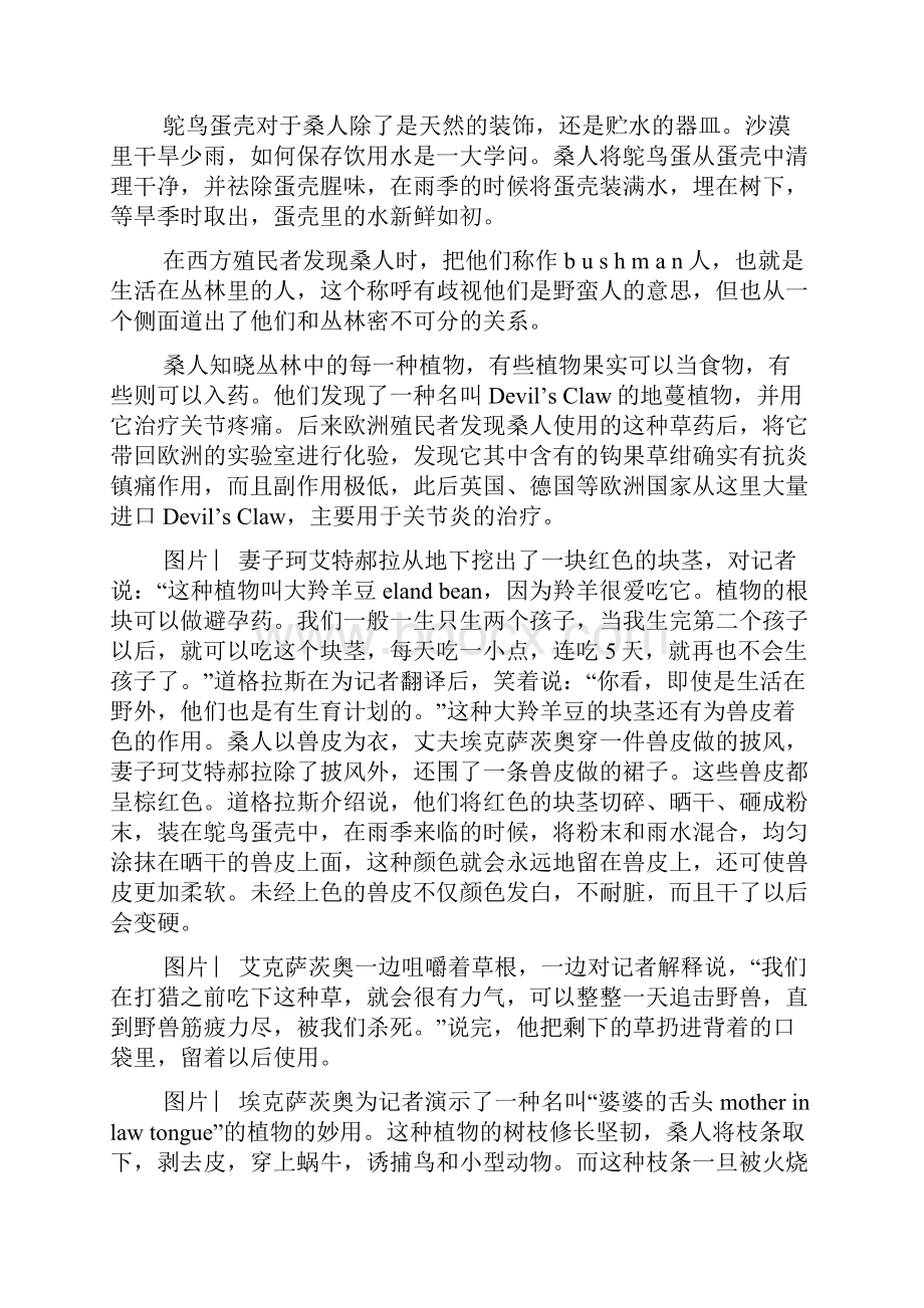 从沙漠神猎手到城市边缘人记录最古老的非洲人桑人的生活变迁文档格式.docx_第3页