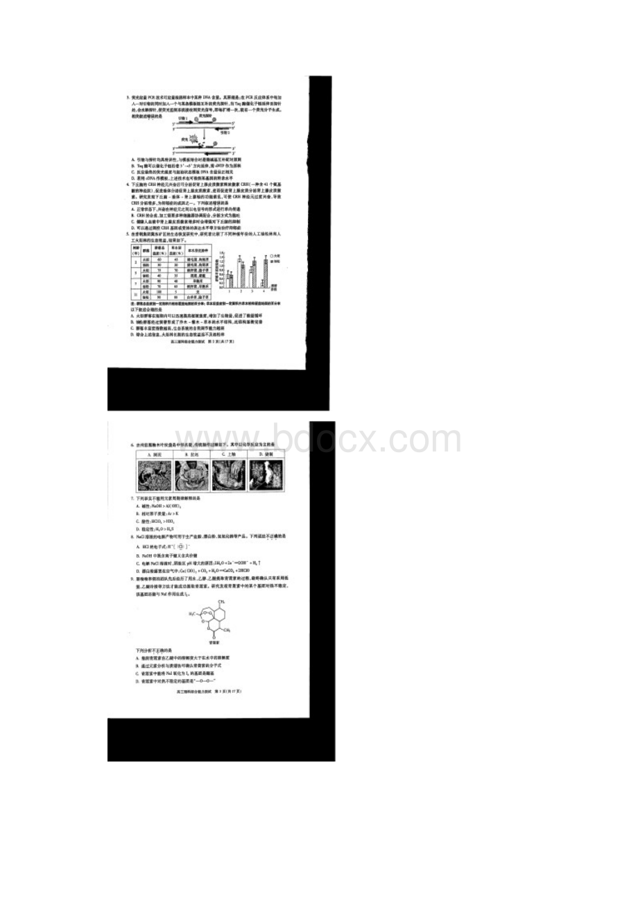 北京市朝阳区高三年级第一次综合练习理综试题.docx_第2页