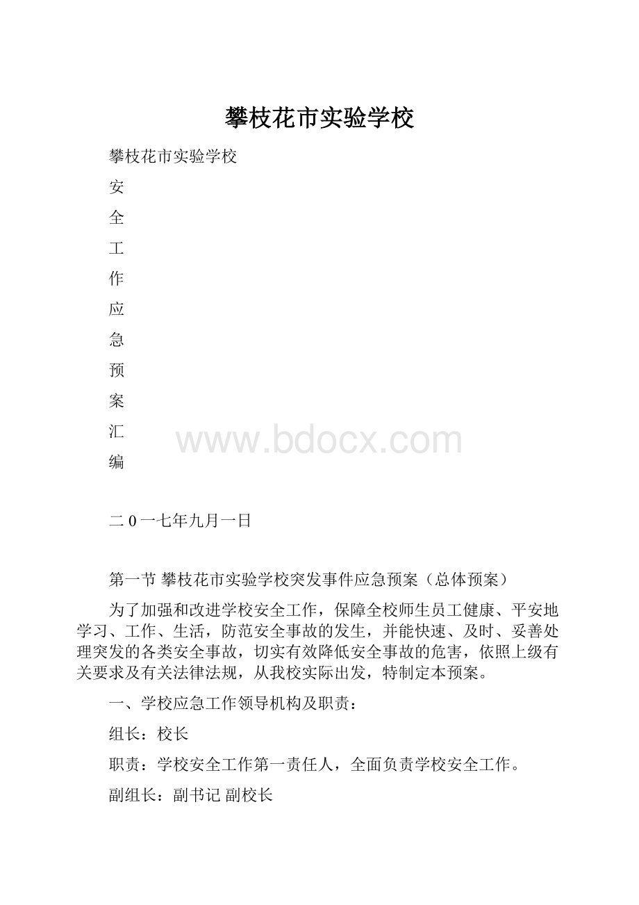 攀枝花市实验学校Word文档下载推荐.docx