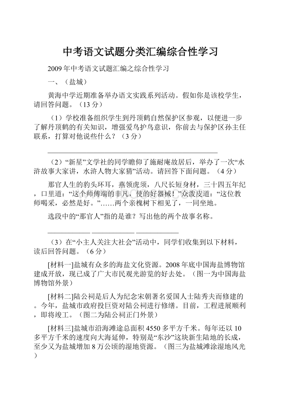 中考语文试题分类汇编综合性学习文档格式.docx