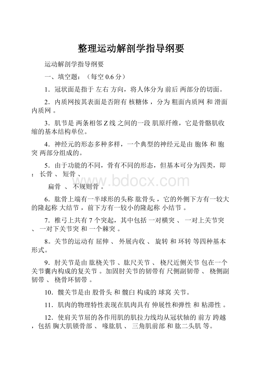 整理运动解剖学指导纲要.docx_第1页