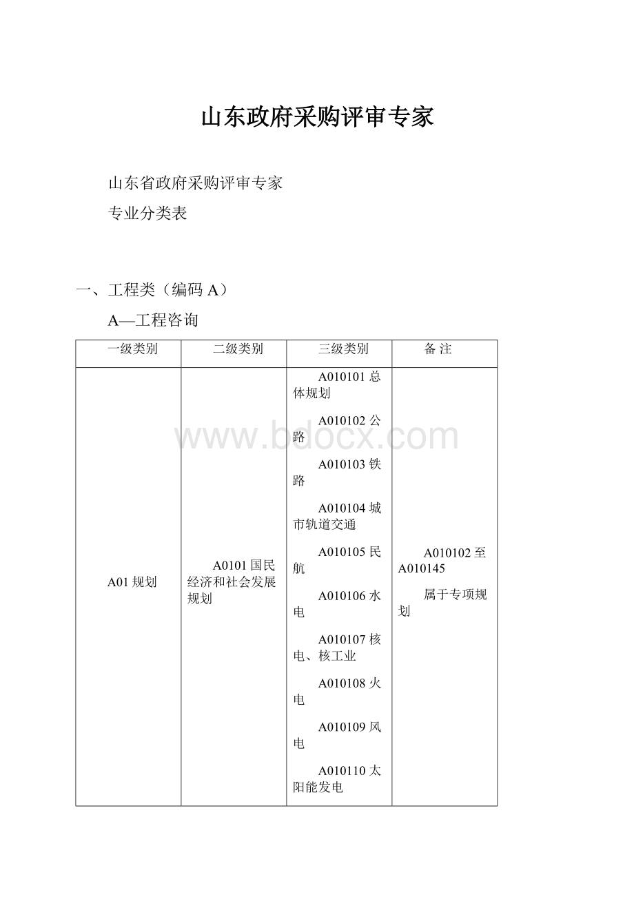 山东政府采购评审专家文档格式.docx