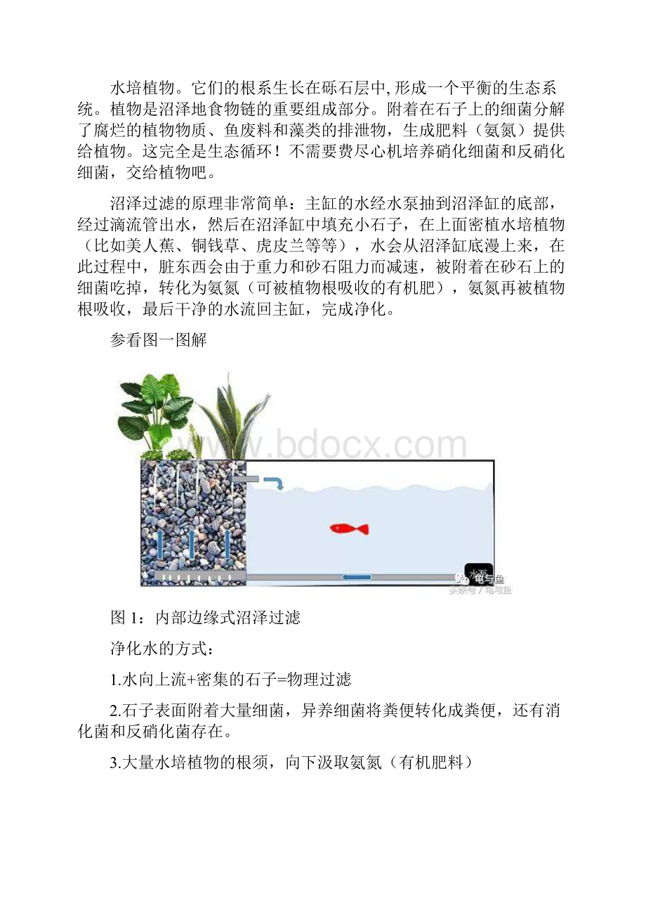 沼泽过滤 养鱼 龟过滤新选择Word文档下载推荐.docx_第2页