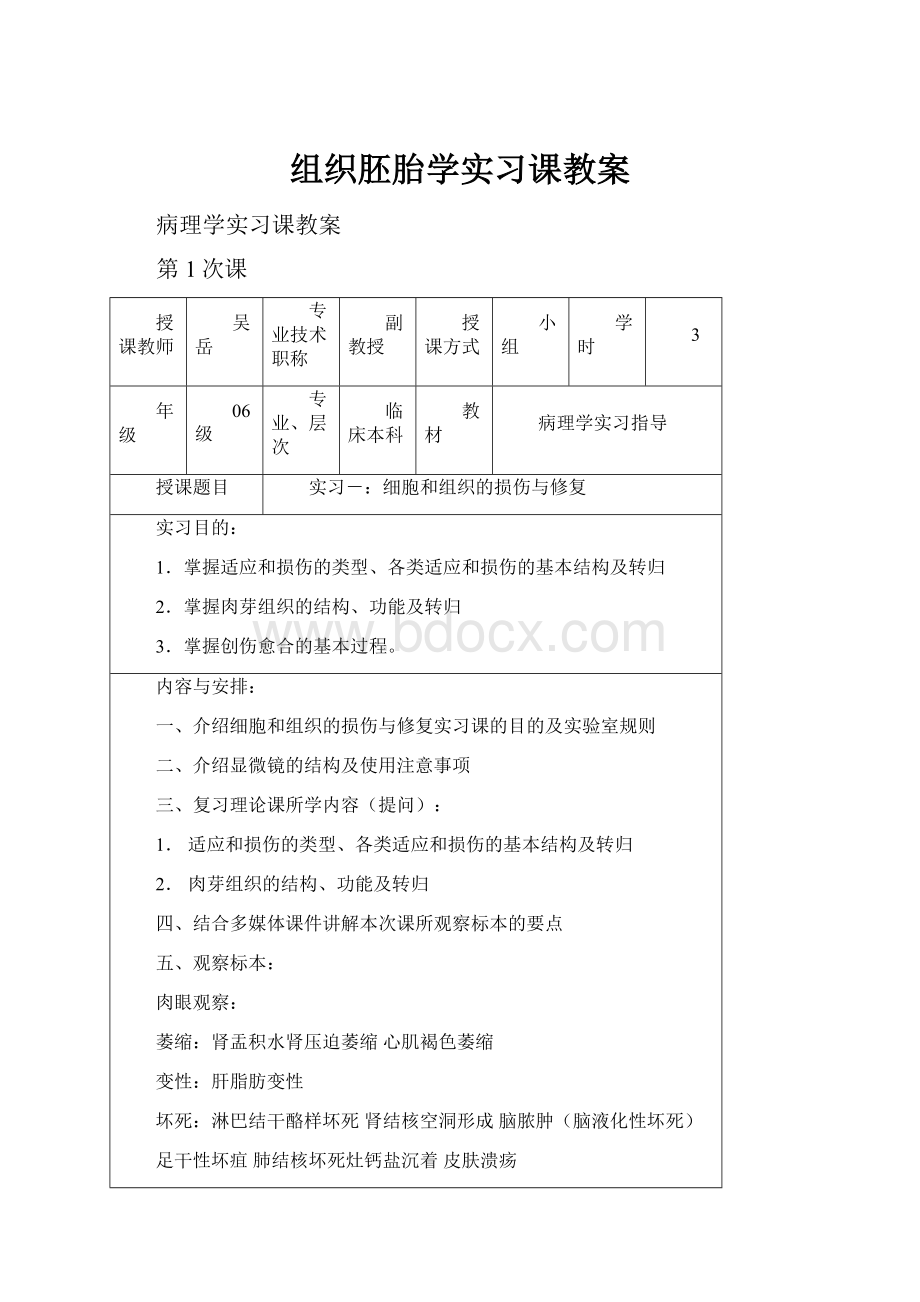 组织胚胎学实习课教案Word文件下载.docx