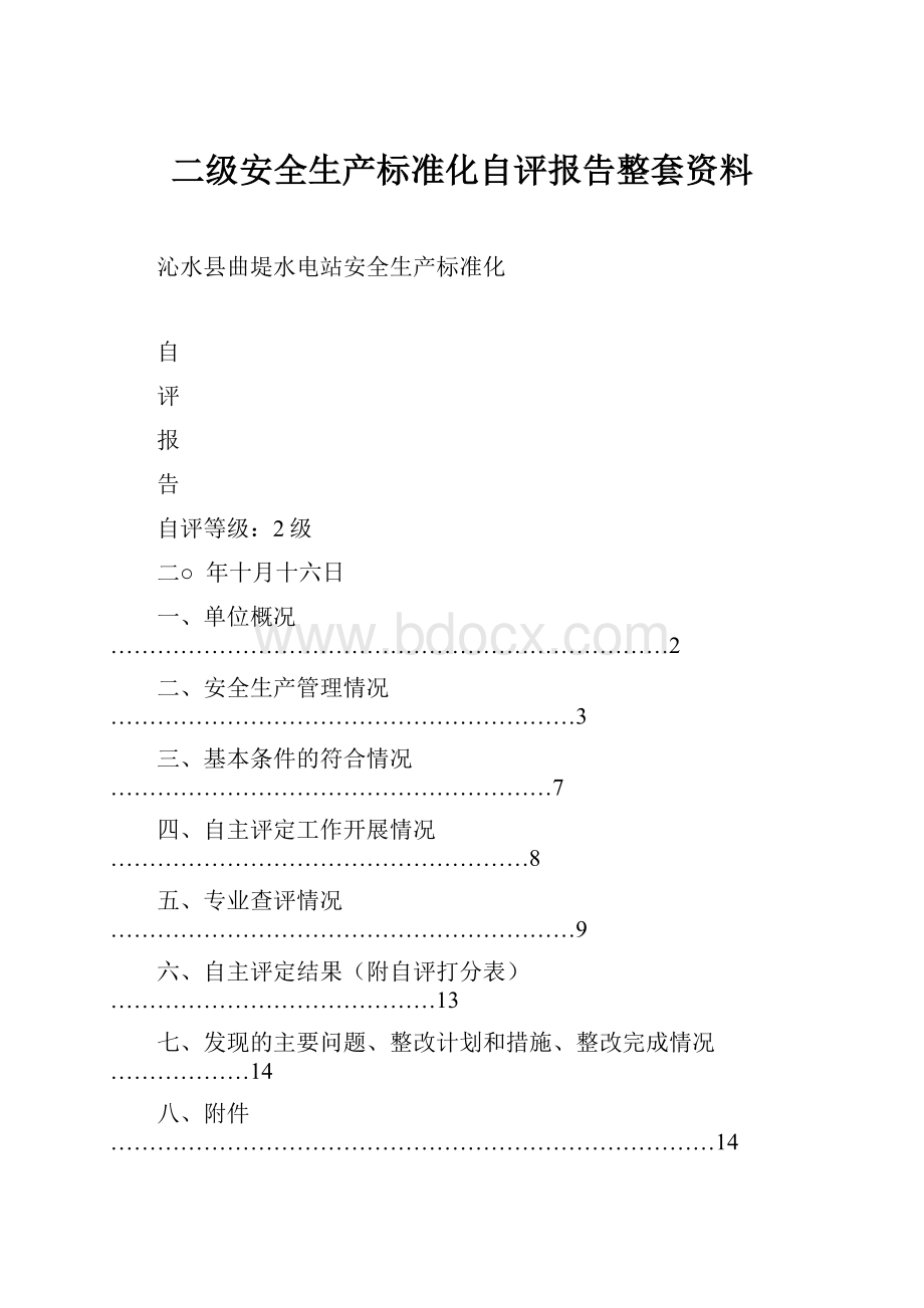 二级安全生产标准化自评报告整套资料Word文档格式.docx