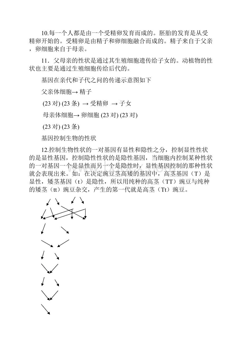 苏科版八年级下册生物知识要点doc.docx_第3页