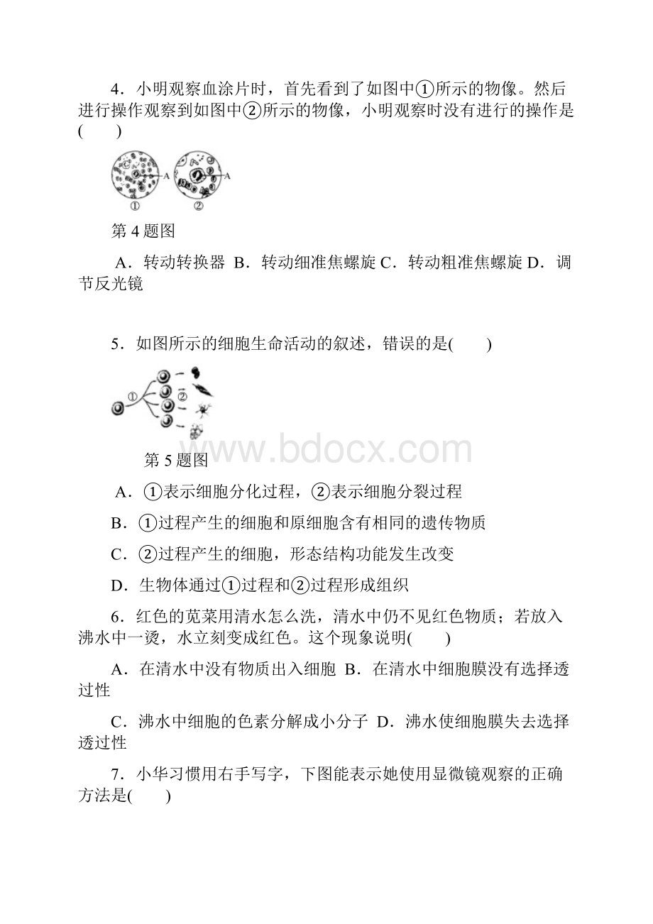 阶段检测1 多种多样的生物细胞种群群落和生态系统.docx_第2页