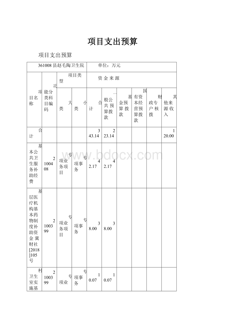 项目支出预算.docx