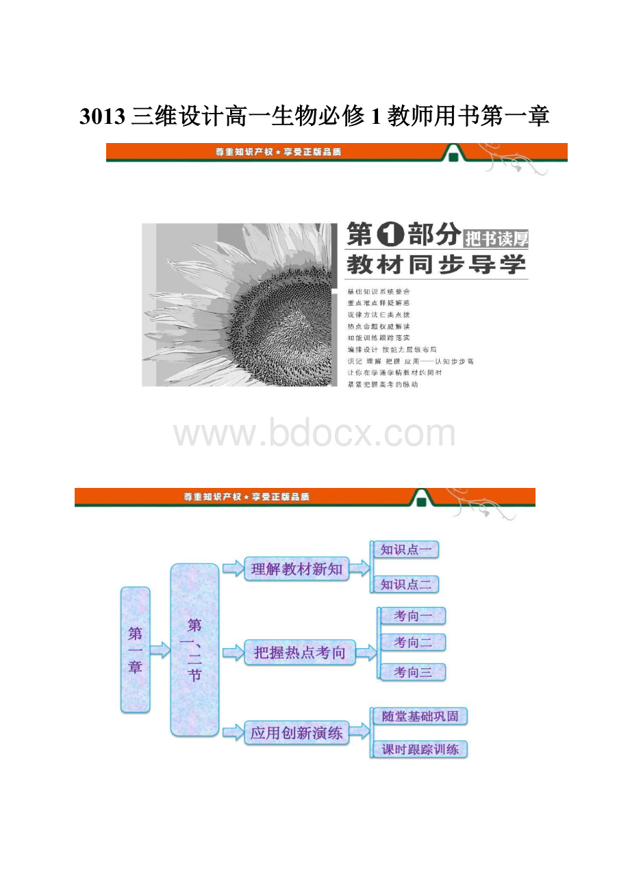 3013三维设计高一生物必修1教师用书第一章Word格式文档下载.docx