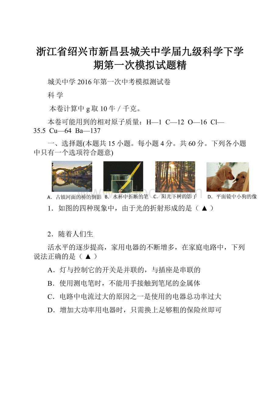 浙江省绍兴市新昌县城关中学届九级科学下学期第一次模拟试题精.docx_第1页