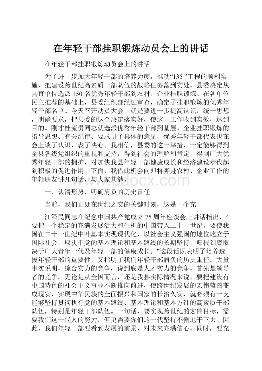 在年轻干部挂职锻炼动员会上的讲话.docx