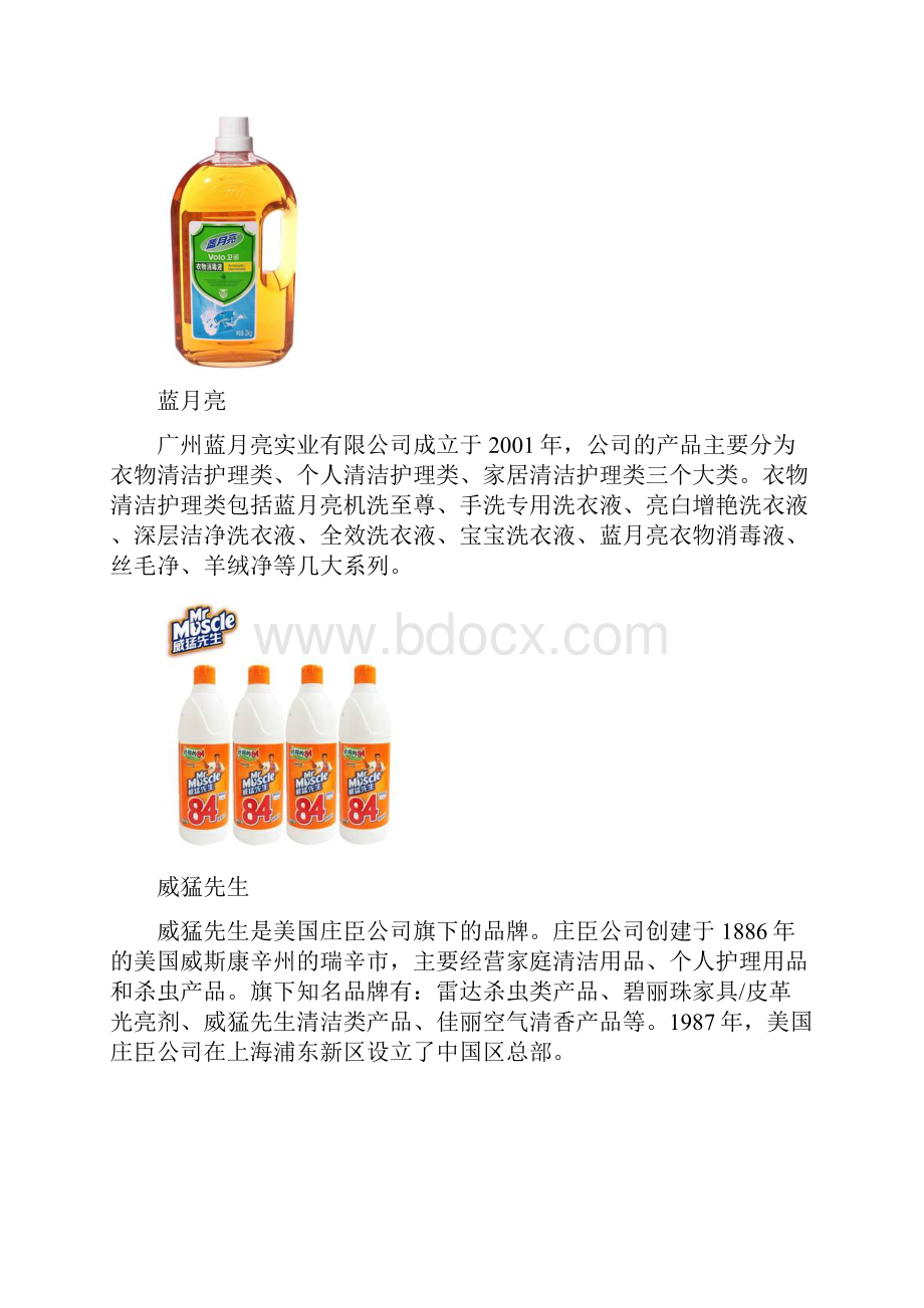 中国消毒液十大品牌排行榜.docx_第3页