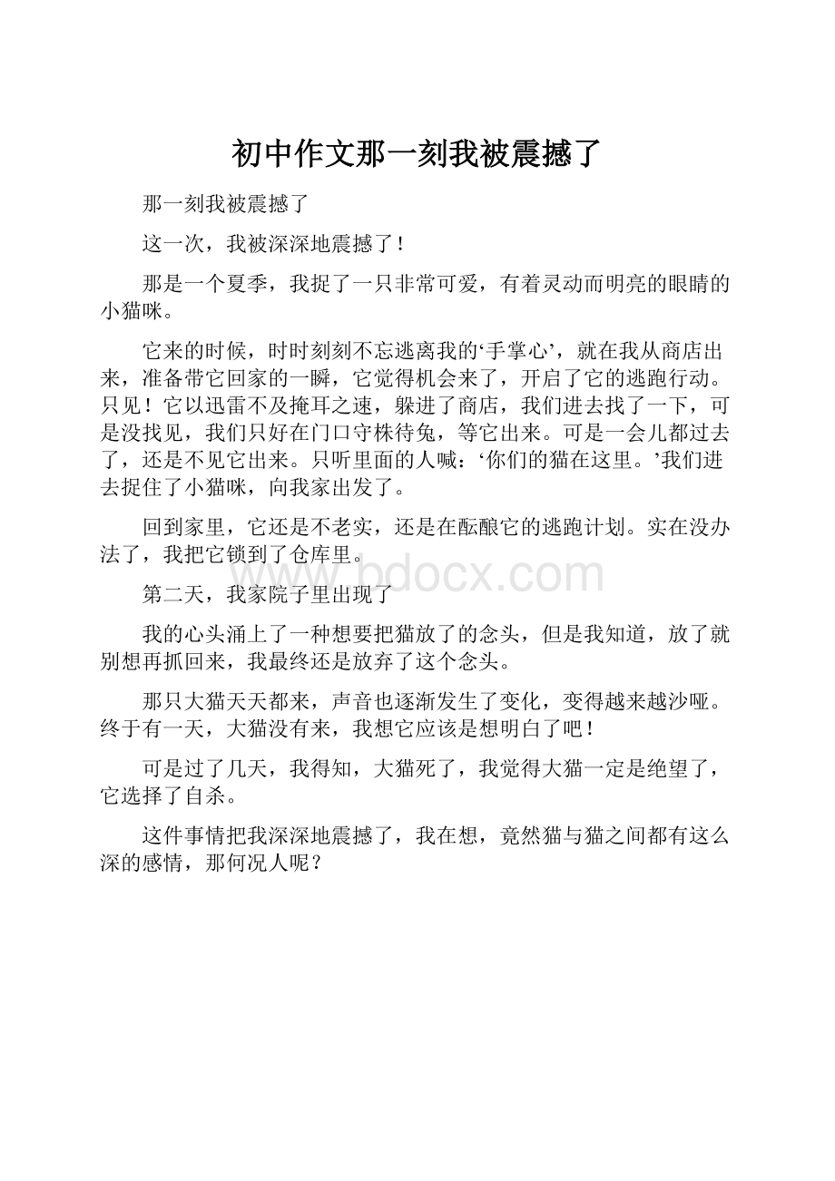 初中作文那一刻我被震撼了Word文档下载推荐.docx_第1页