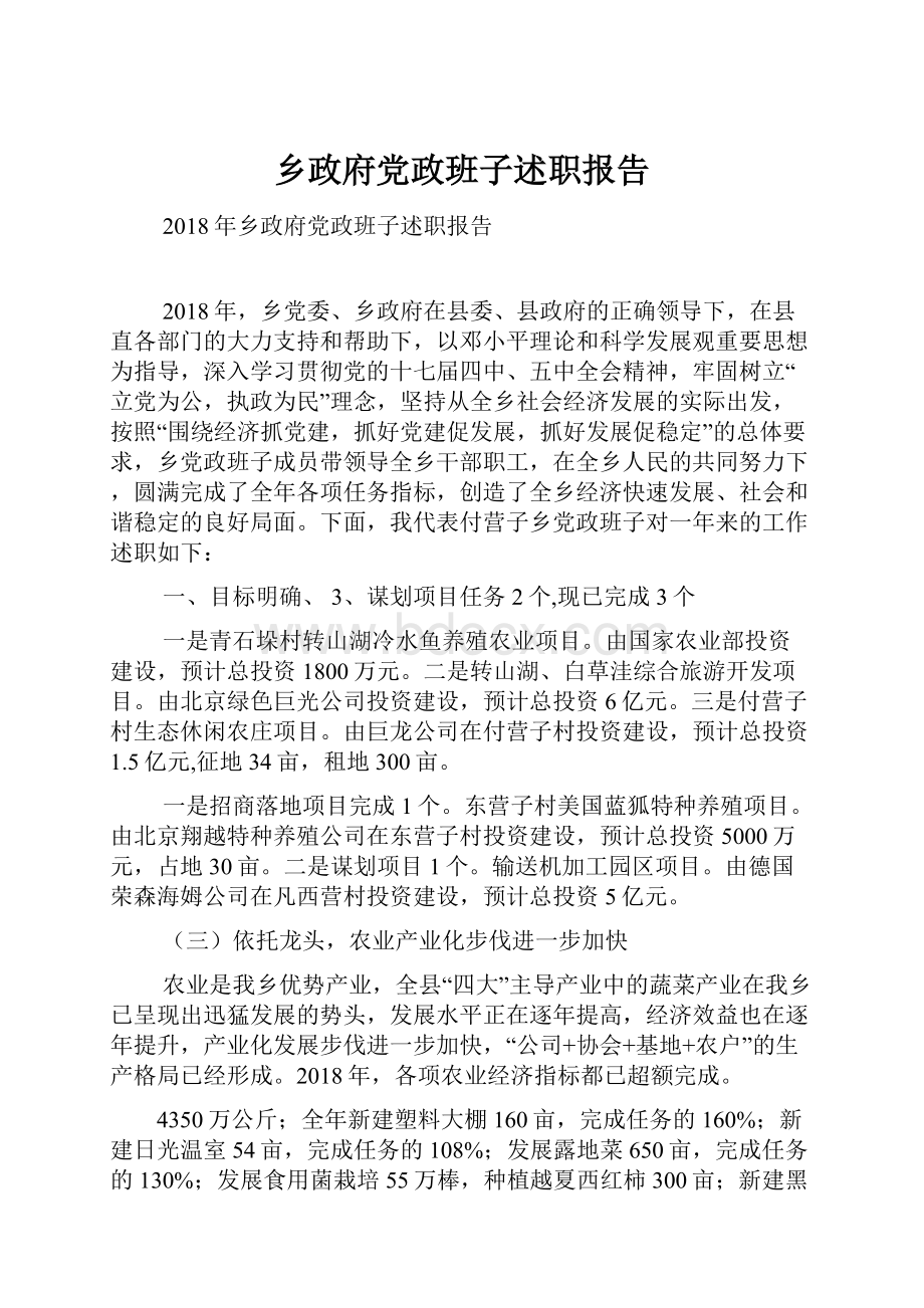 乡政府党政班子述职报告.docx