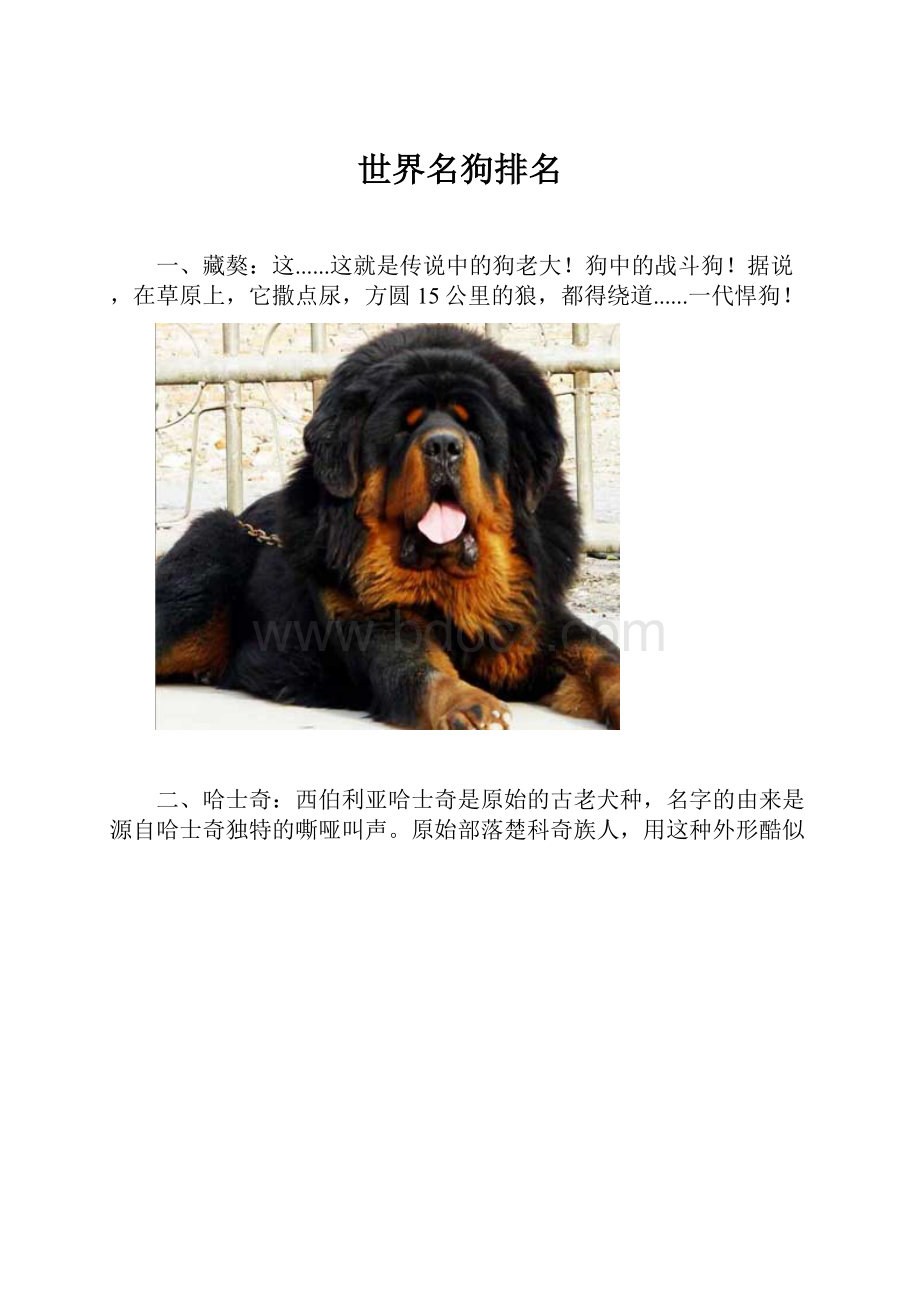 世界名狗排名Word文档格式.docx_第1页