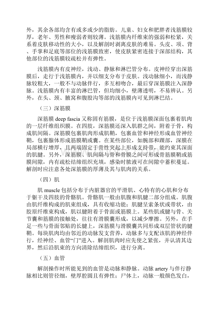 局部解剖学讲义Word格式文档下载.docx_第2页