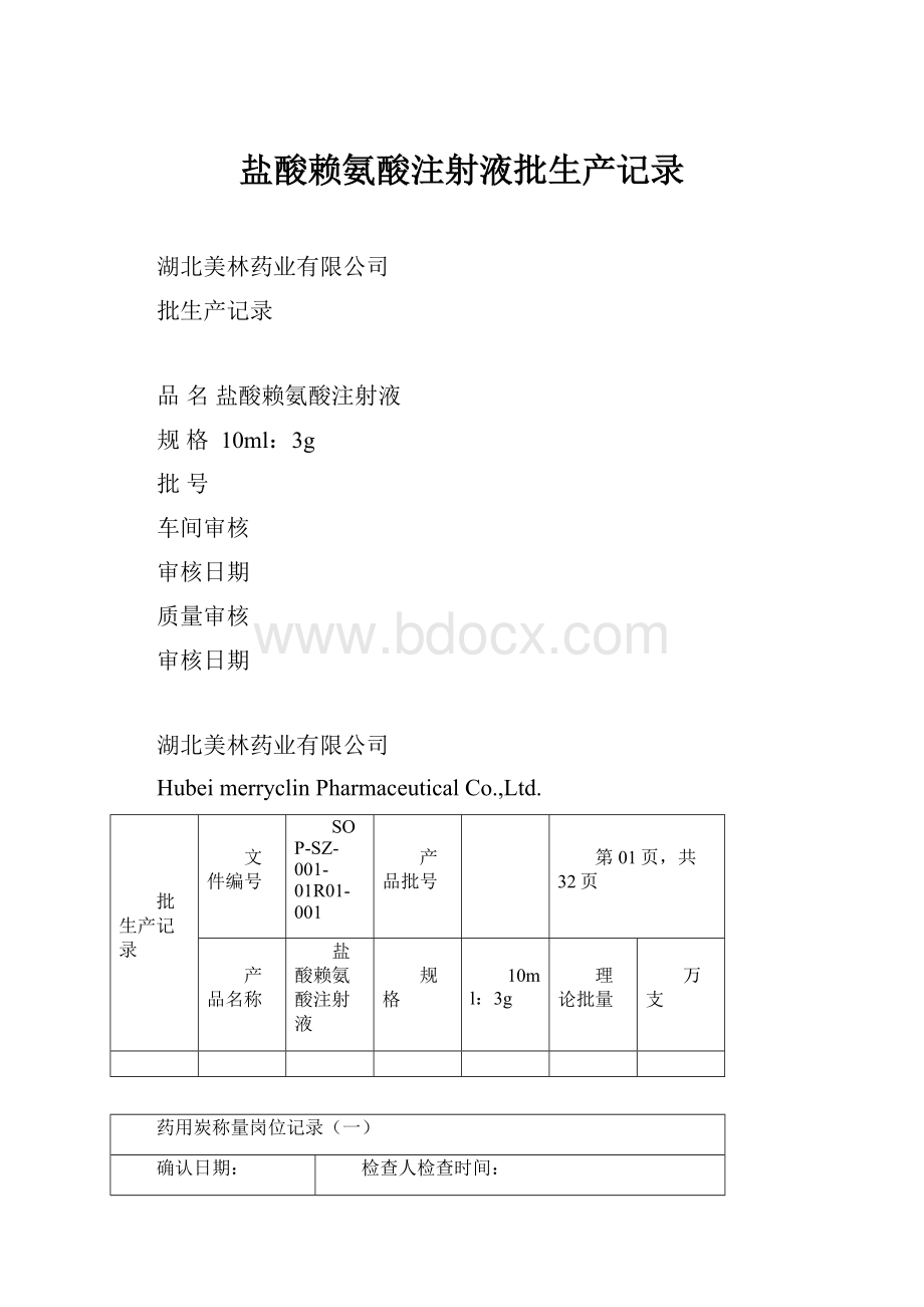 盐酸赖氨酸注射液批生产记录.docx