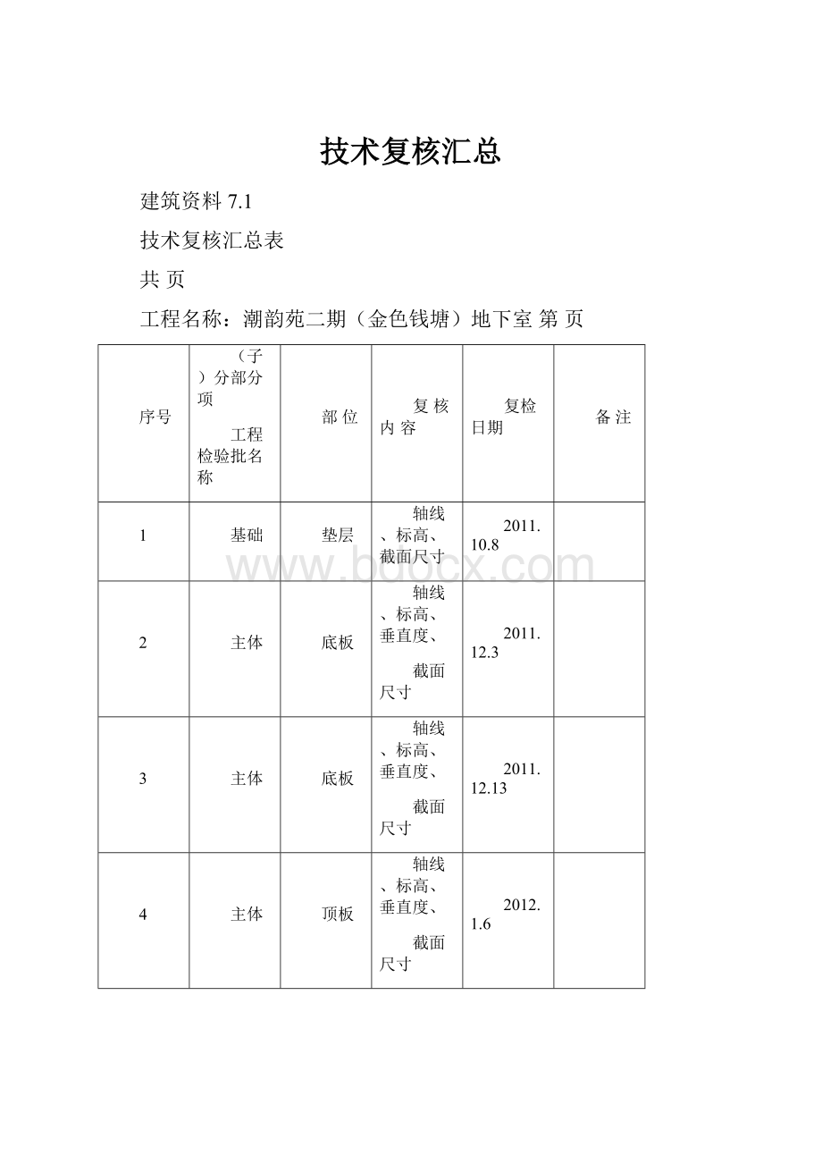 技术复核汇总文档格式.docx