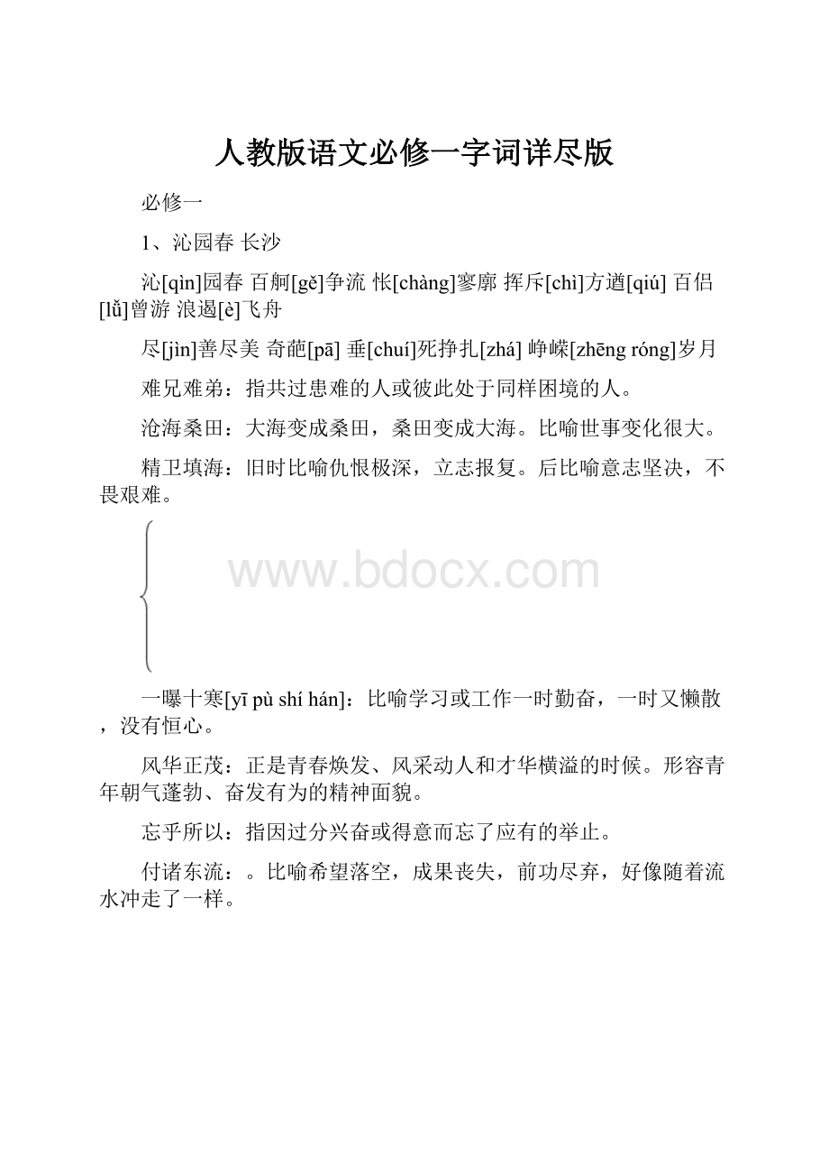 人教版语文必修一字词详尽版.docx