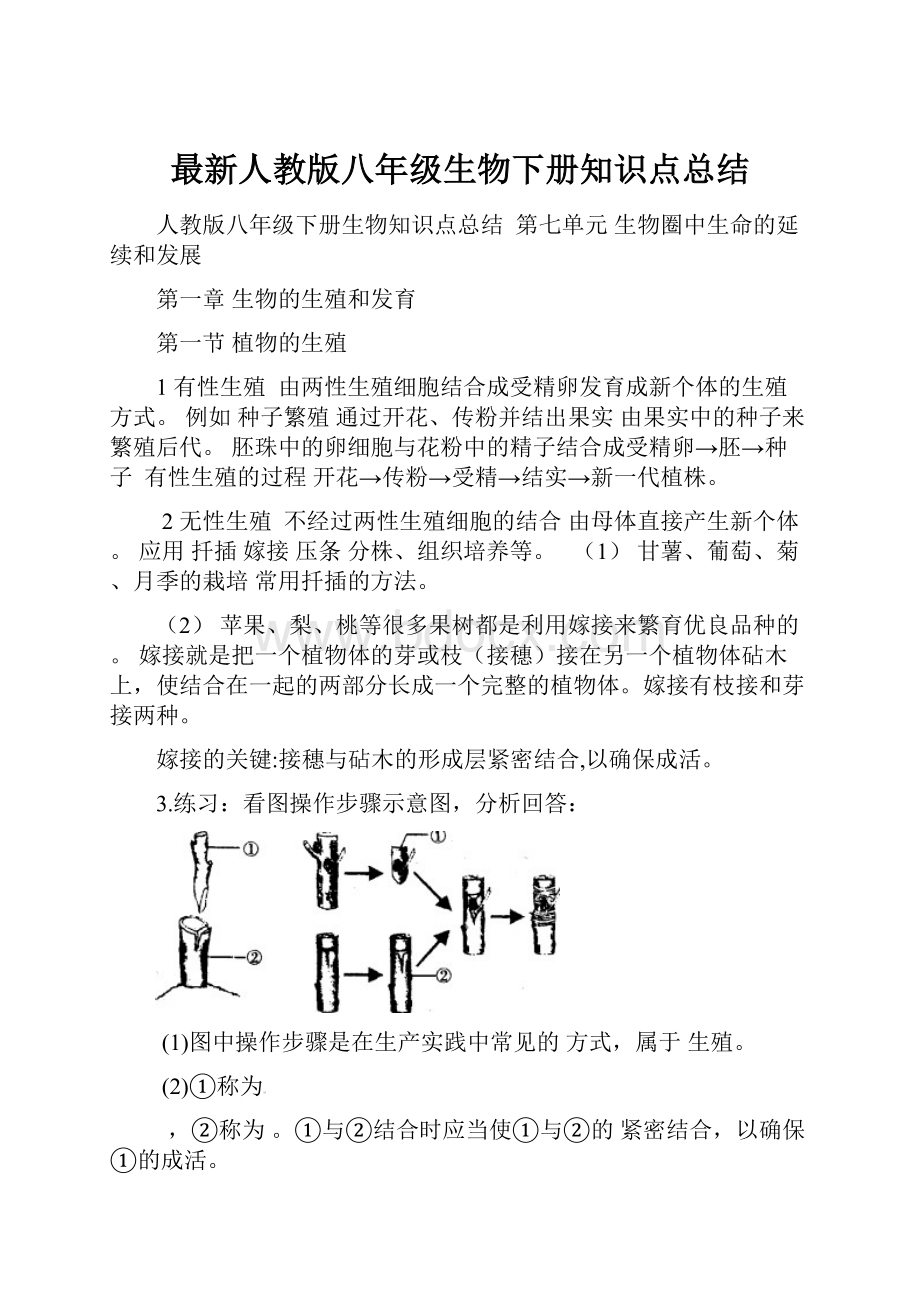 最新人教版八年级生物下册知识点总结.docx