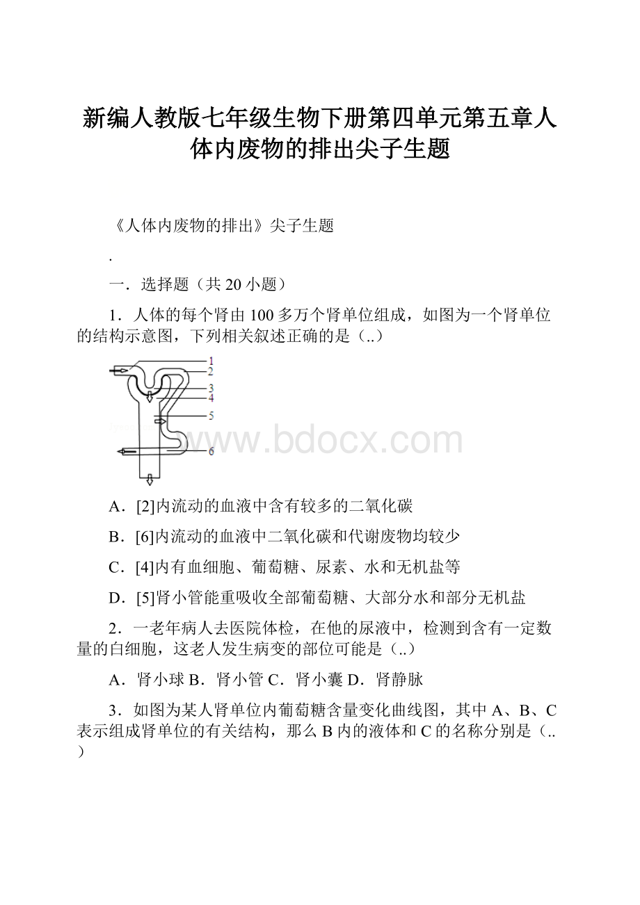 新编人教版七年级生物下册第四单元第五章人体内废物的排出尖子生题Word下载.docx