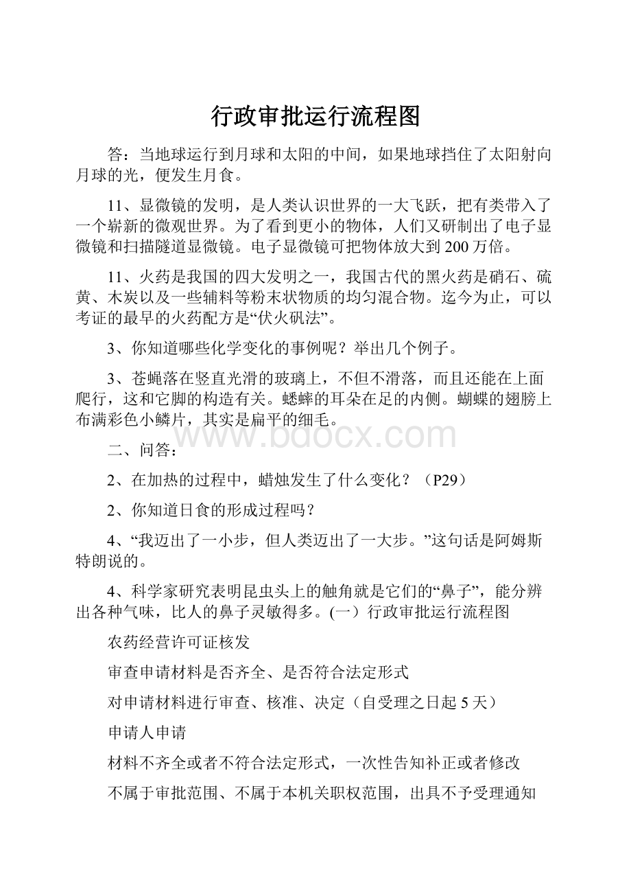 行政审批运行流程图文档格式.docx