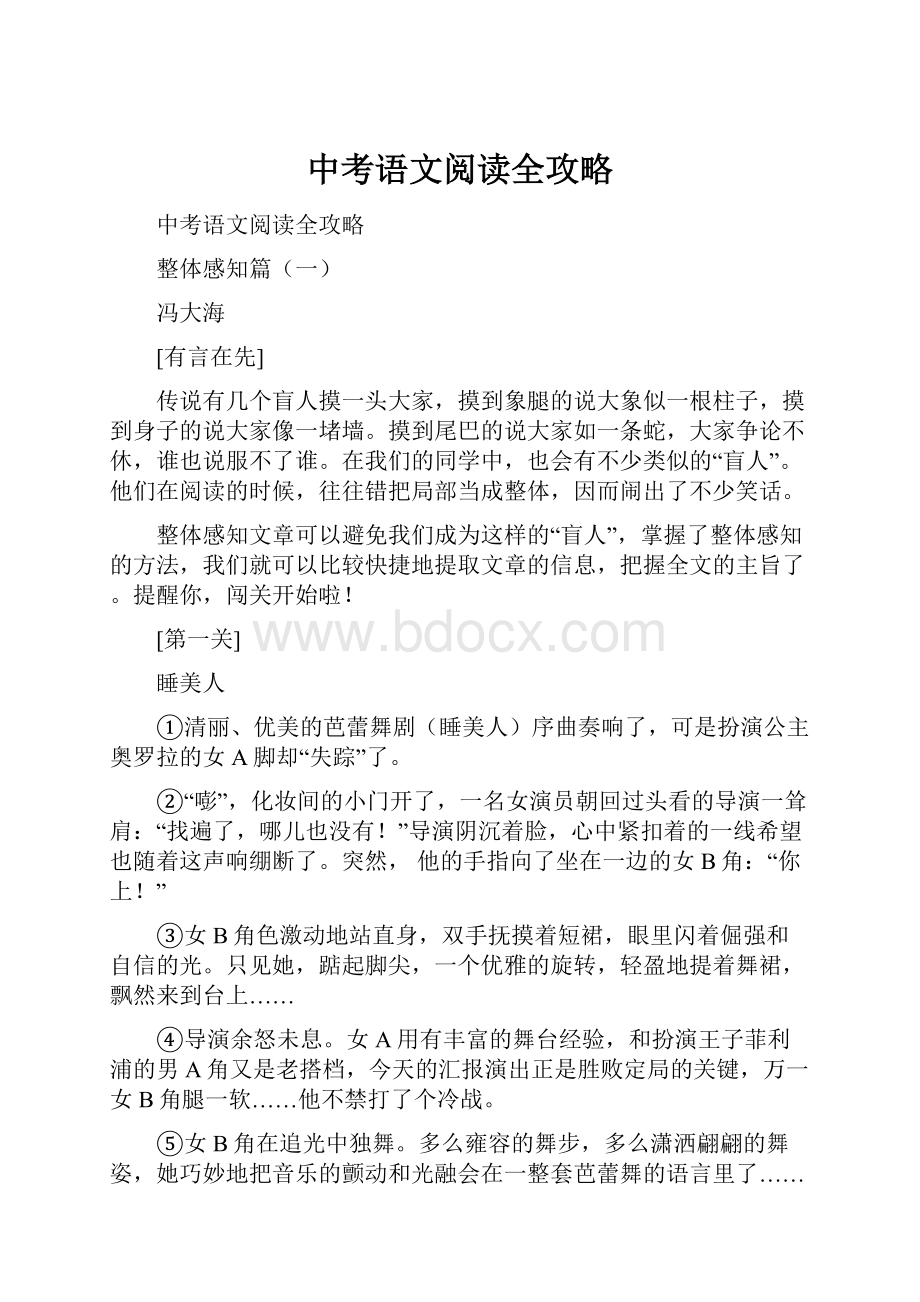 中考语文阅读全攻略.docx_第1页