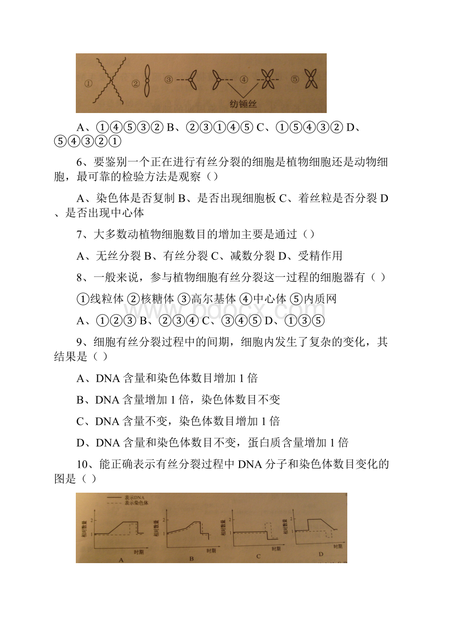 最新初中生物七年级生物细胞的分裂和分化同步练习2Word格式文档下载.docx_第2页