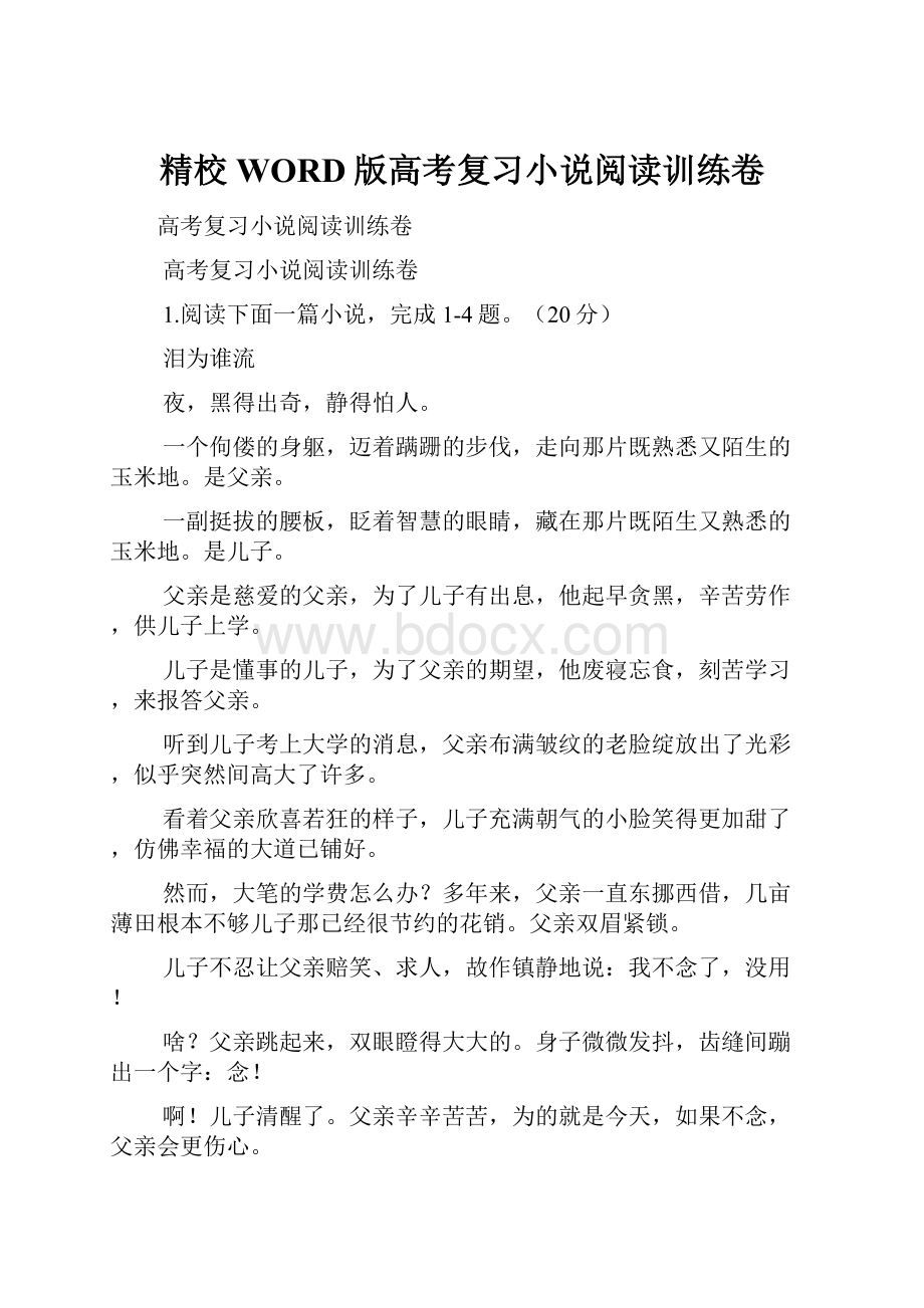 精校WORD版高考复习小说阅读训练卷文档格式.docx