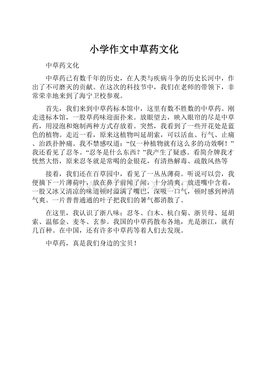 小学作文中草药文化Word格式文档下载.docx