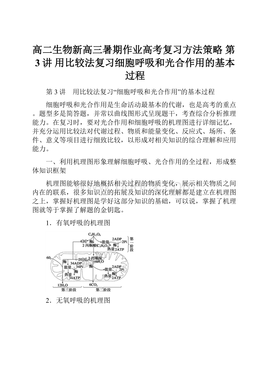 高二生物新高三暑期作业高考复习方法策略 第3讲 用比较法复习细胞呼吸和光合作用的基本过程.docx