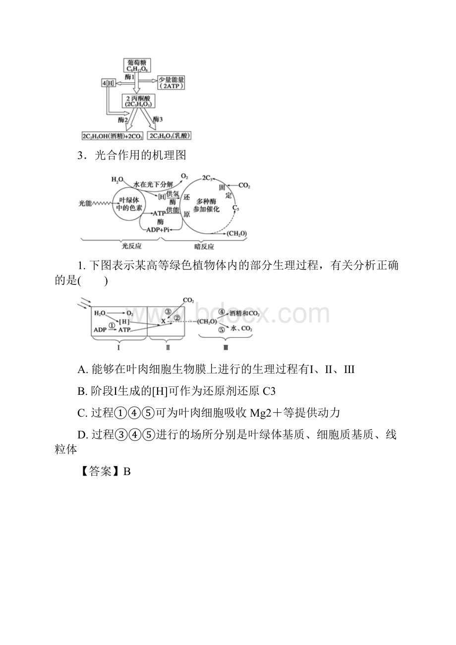 高二生物新高三暑期作业高考复习方法策略 第3讲 用比较法复习细胞呼吸和光合作用的基本过程Word下载.docx_第2页