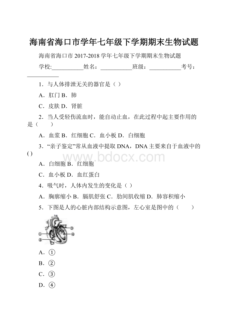 海南省海口市学年七年级下学期期末生物试题.docx_第1页