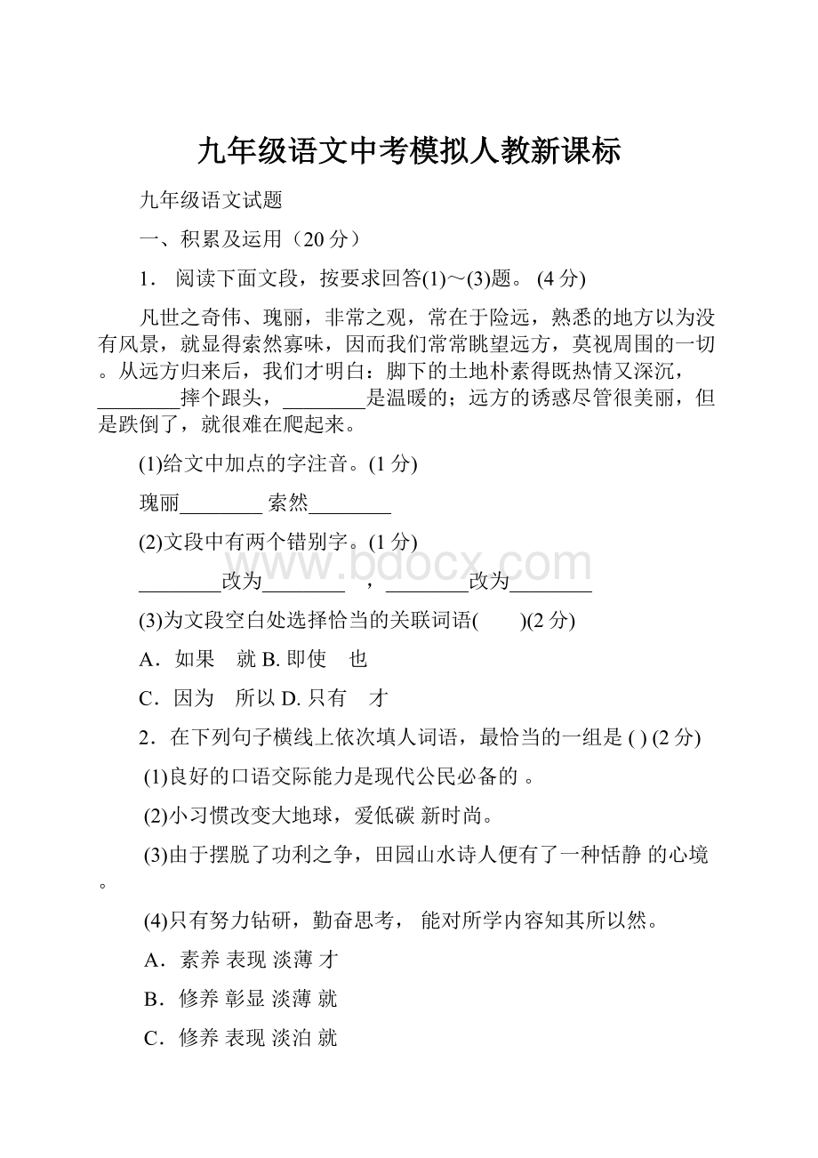 九年级语文中考模拟人教新课标.docx