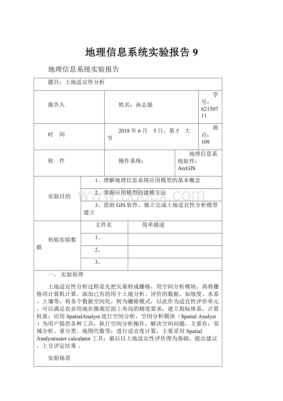 地理信息系统实验报告9.docx